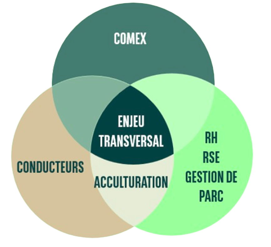 Diagramme de Venn à trois cercles — COMEX, Conducteurs, et RH/RSE/Gestion de parc — dont l'intersection centrale est l'« enjeu transversal », et la zone commune entre Conducteurs et RH/RSE/Gestion de parc l'« acculturation ».