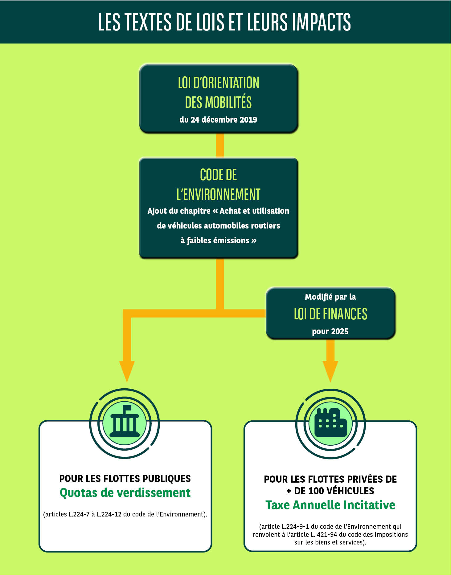 Visuel Infographie les lois et leurs impacts