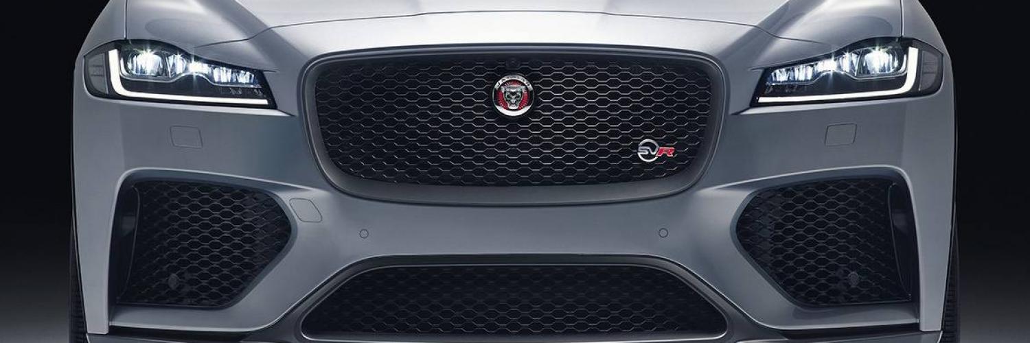 Jaguar Jaguar