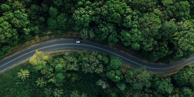 visuel voiture sur route dans la forêt