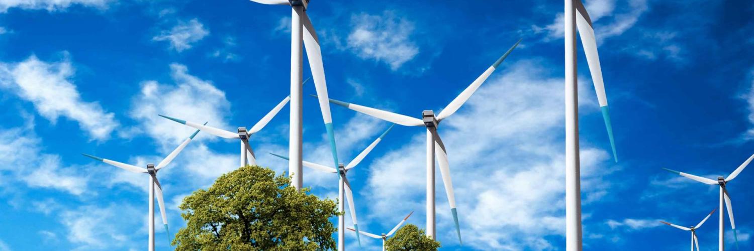 Véhicules utilitaires électriques en lld