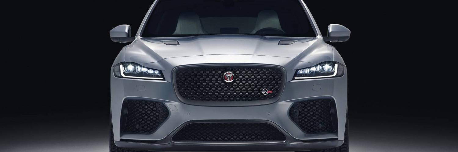 Jaguar Jaguar
