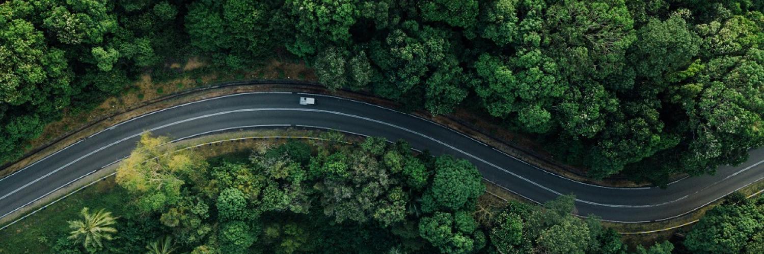 visuel voiture sur route dans la forêt